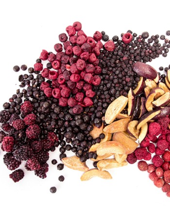 ovocie_lyofilizovane